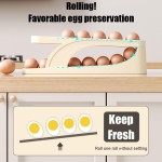 Automatic Roll-Down Double-Layer Egg Organizer